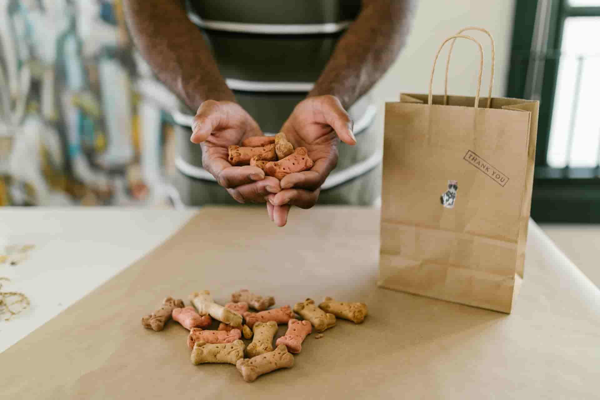 Pienso para Perros: Guía Completa para Elegir el Mejor Alimento para tu Can